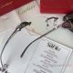 Newest Copy Cartier Leopard Eyeglasses Titanium Frame (7)_th.jpg